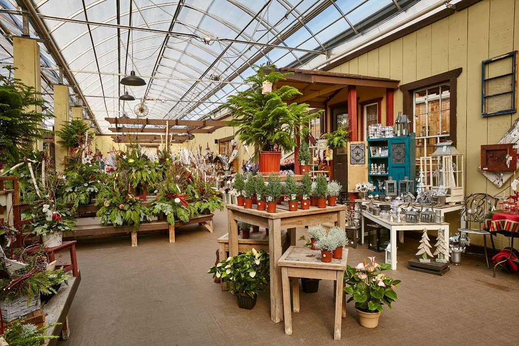 Various plants near the cafe